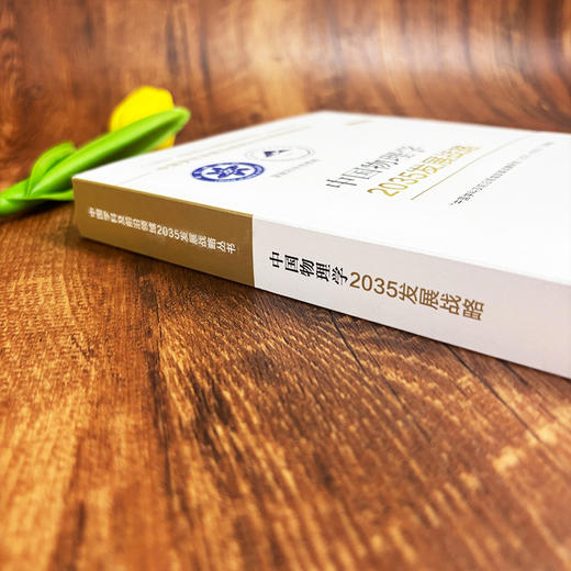 中国物理学2035发展战略 9787030831040 商品图3
