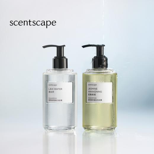 scentscape气味图书馆【洗发露合集】香氛植粹蓬松洗发露250ml 商品图0