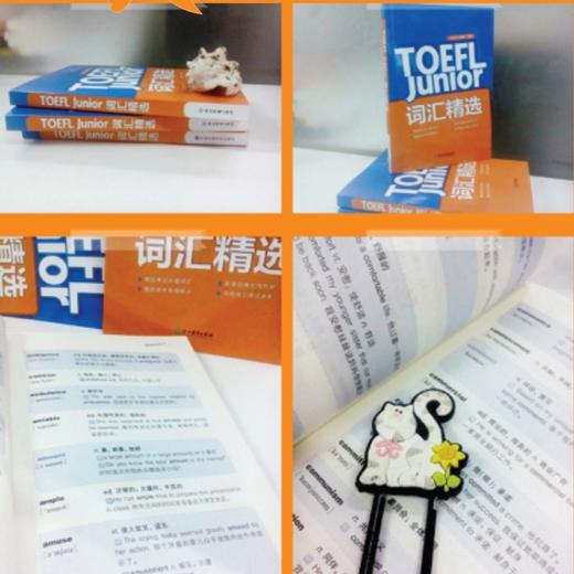 【新东方】TOEFL Junior词汇精选 商品图2