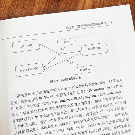 当代达尔文主义纲领的哲学基础 商品图5