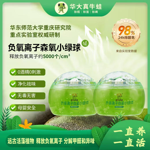 【天然植萃 清新空气】华大极光 除醛森氧小绿球 活藻植物 可持续养护空气 208g/罐 商品图2