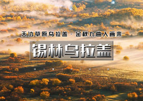 国庆4天｜锡林乌拉盖｜驰骋锡林郭勒大草原-打卡99号网红公路-寻火山石林沙湖秘境