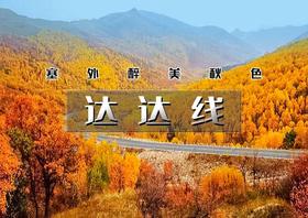 国庆4天｜达达线｜绚彩塞北の美林谷-西拉沐沦-黄岗梁-阿斯哈图石林-勃隆克沙漠-玉龙沙湖