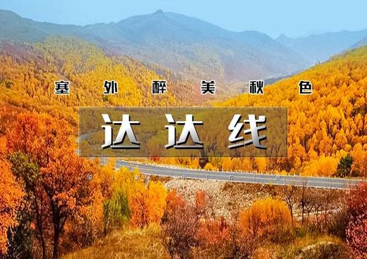 国庆4天｜达达线｜绚彩塞北の美林谷-西拉沐沦-黄岗梁-阿斯哈图石林-勃隆克沙漠-玉龙沙湖 商品图0
