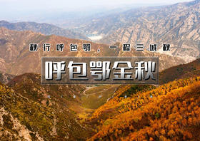 国庆4天｜呼包鄂金秋4天｜穿行塞北山河の大漠落日-黄河大湾-胡杨白桦林-草原故宫小布达拉宫