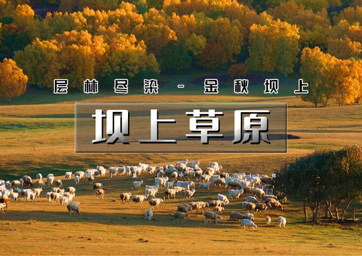 周末/中秋/国庆2天｜坝上草原｜坝上正确打开方式の摄影-骑马-篝火-烤全羊-卡拉OK…… 商品图0