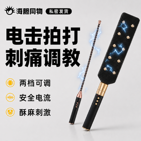 Roomfun 房趣电击调教棒