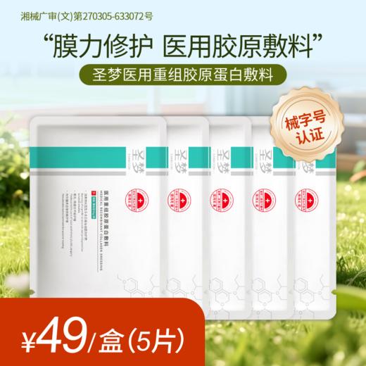 【买10送1】圣梦医用重组胶原蛋白敷料 商品图2