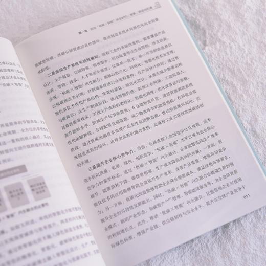 绿色智能协同 流程工业新范式 绿色低碳 流程工业 新型工业化 商品图3