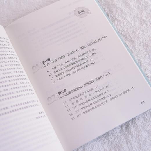 绿色智能协同 流程工业新范式 绿色低碳 流程工业 新型工业化 商品图1