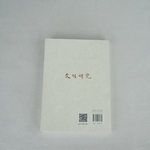 文明研究(第二辑)：区域研究与世界文明史的演进 商品图7