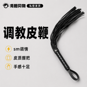 短款皮鞭 49cm