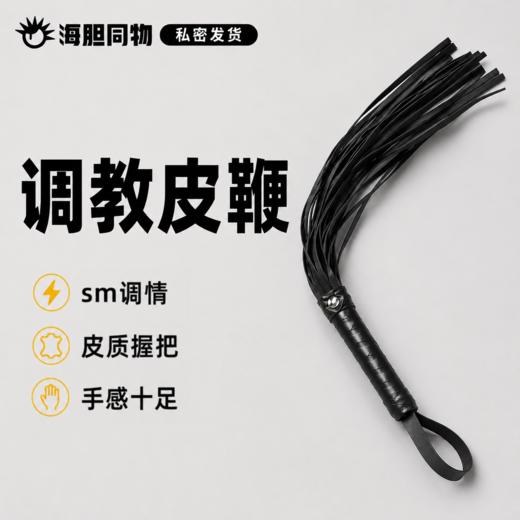 短款皮鞭 49cm 商品图0