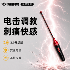 Roomfun房趣 激情电击调教棒