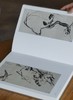 绝版：《八大山人精品集：花鸟卷、山水卷》，全2册，正8开，布面精装，八大山人绘，陈传席主编，江西美术出版社2011年一版一印，近400页，定价880，售价388元。品相9成。 商品缩略图6