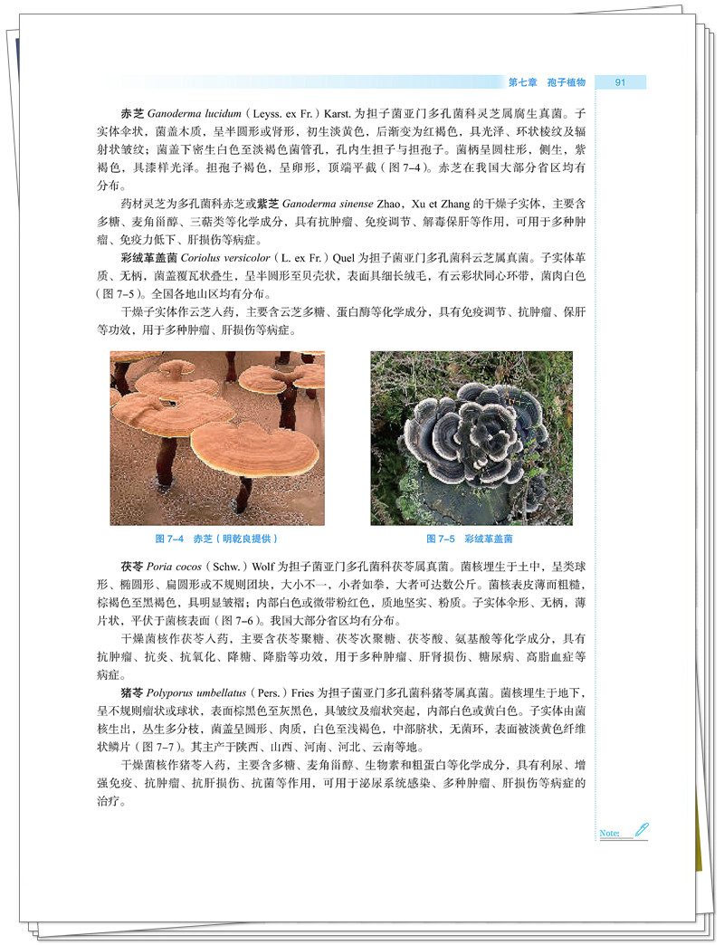 试读2.jpg