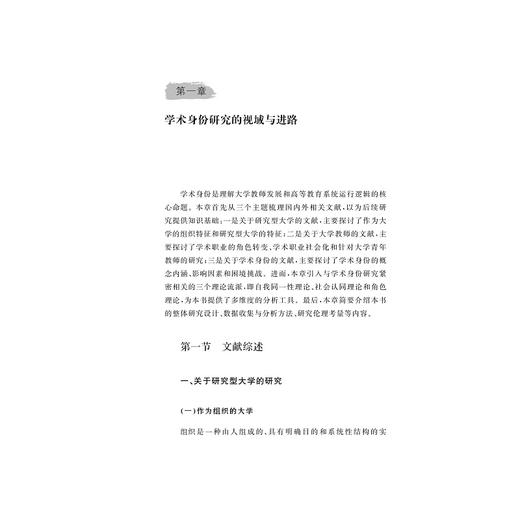 研究型大学青年教师学术身份研究/韩双淼/浙江大学出版社 商品图4