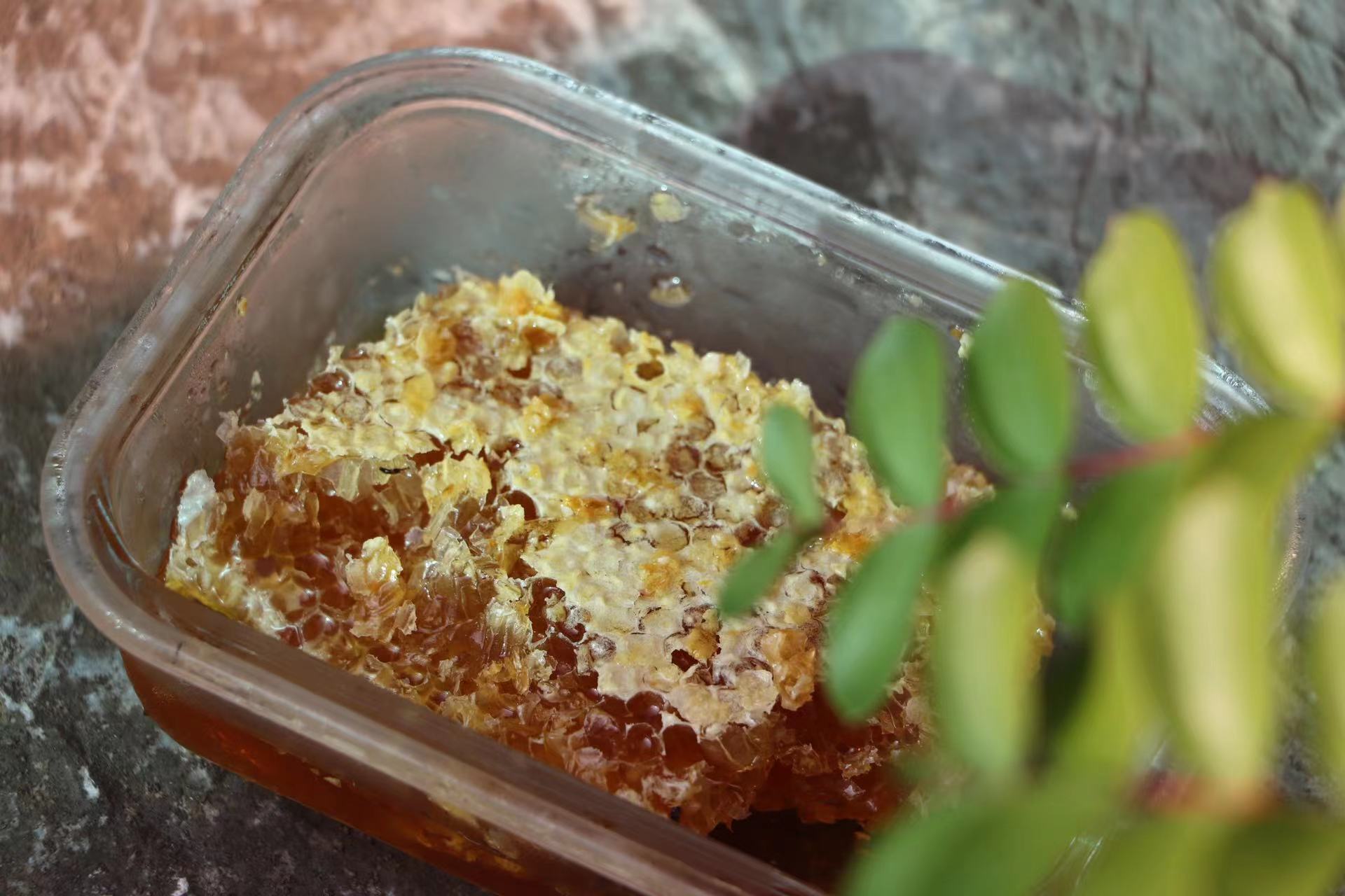 秦岭古法木桶本草蜂巢蜜
