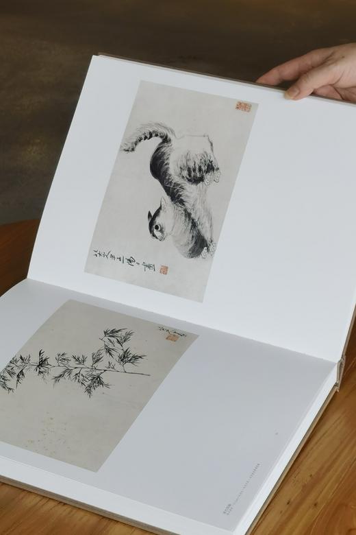 绝版：《八大山人精品集：花鸟卷、山水卷》，全2册，正8开，布面精装，八大山人绘，陈传席主编，江西美术出版社2011年一版一印，近400页，定价880，售价388元。品相9成。 商品图8