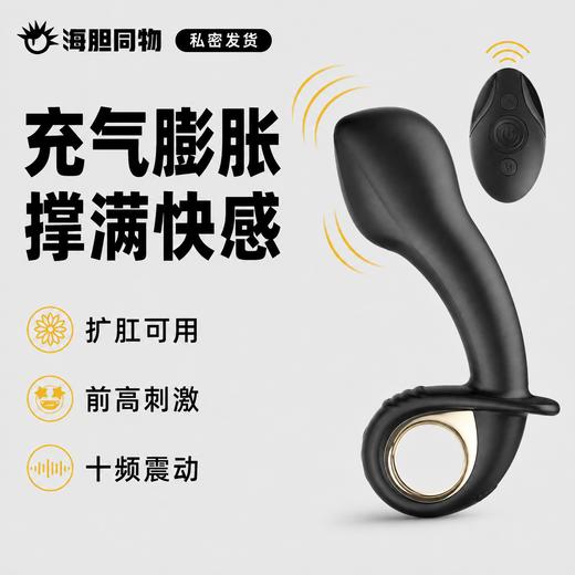 荷尔先生 巨尾充气式前列腺按摩器 商品图0