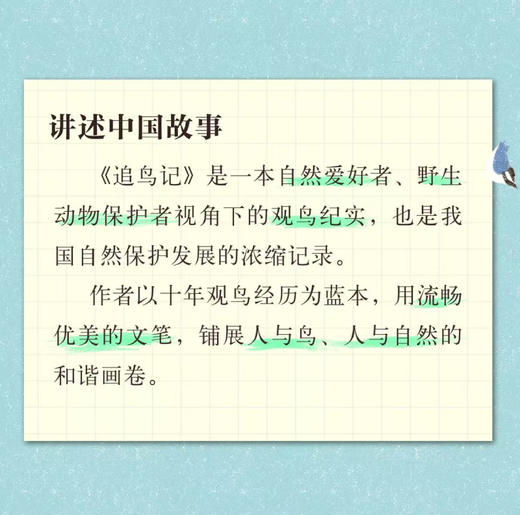 追鸟记 商品图3