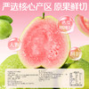 【百草味】红心芭乐干80g 商品缩略图3