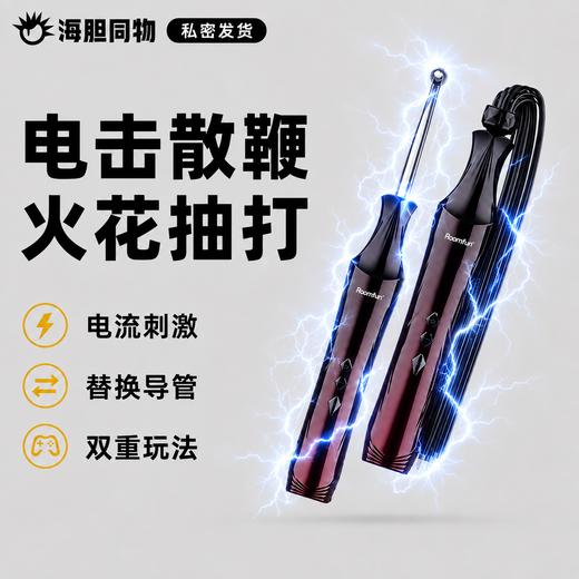 Roomfun 房趣权杖电滋棒电散鞭 SM电击调教 商品图0