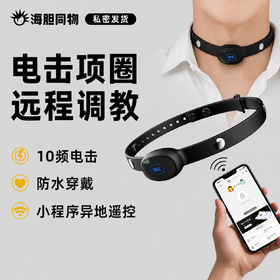 困龙 SM电击项圈 小程序远程遥控