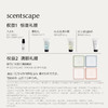 scentscape气味图书馆【洗护合集】香氛云感沐浴露250ml/香氛水光润肤乳250ml 商品缩略图1
