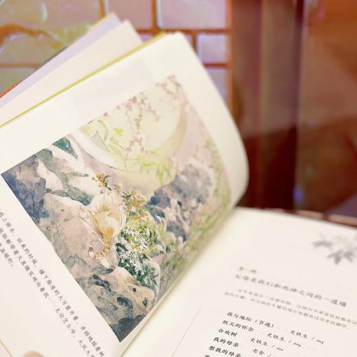 今生多相见，别泪流，别亏欠  9787577231297  华中科技出版社 商品图3