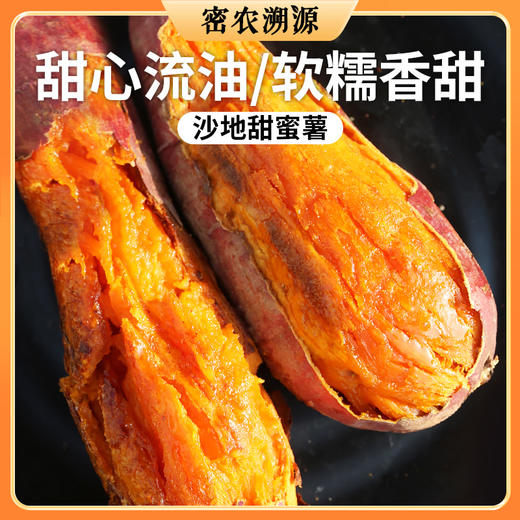 新鲜甜蜜薯包邮装 糖心流油 甜糯无丝  蒸烤都好吃 红薯 商品图0