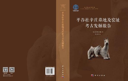 平谷杜辛庄墓地及窑址考古发掘报告 北京市考古研究院 9787030855398 商品图3