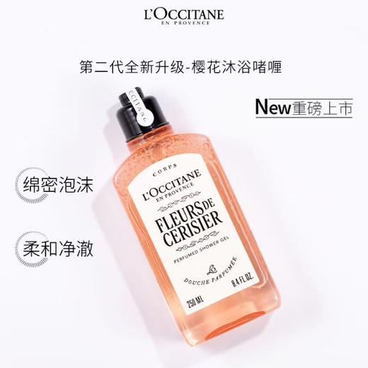 完税进口 2025年新款欧舒丹樱花身体乳沐浴露套组（沐浴露250ml身体乳250ml） 商品图2