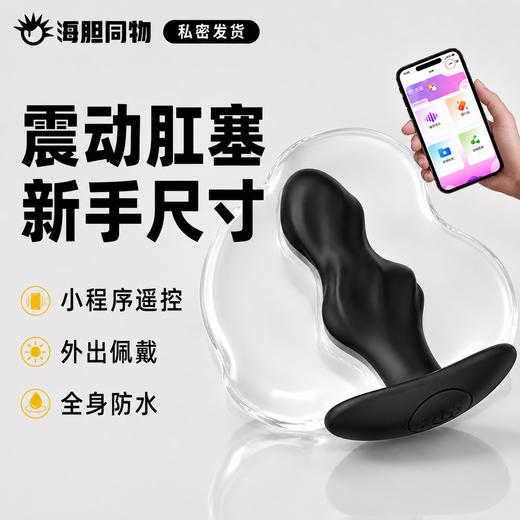 MizzZee 无线肛塞螺纹款蓝牙小程序连接 商品图0