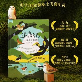 追鸟记