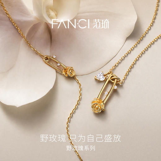 Fanci范琦【野玫瑰系列】野玫瑰荆棘项链别针爱心原创设计送女友 商品图1