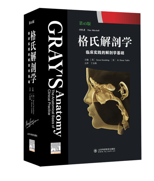 格氏解剖学——临床实践的解剖学基础（第43版） 主译 丁自海   山科出版 商品图0