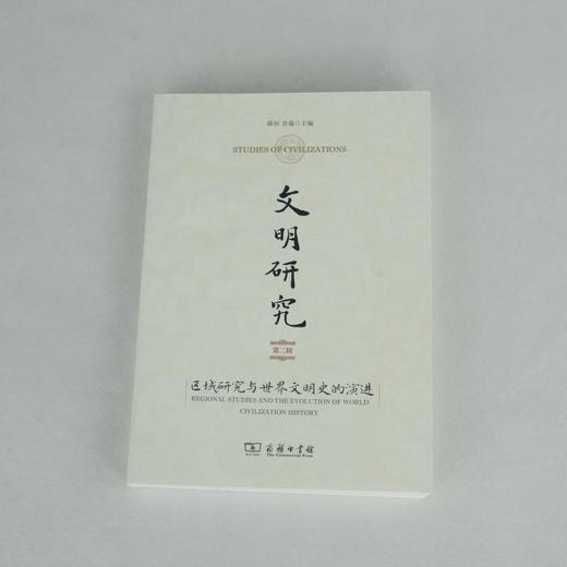 文明研究(第二辑)：区域研究与世界文明史的演进 商品图6
