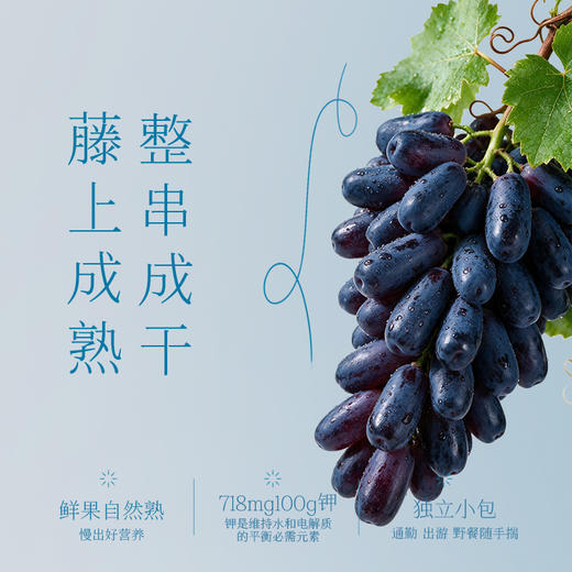 【百草味】蓝宝石葡萄干80g 商品图2