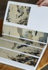 绝版：《八大山人精品集：花鸟卷、山水卷》，全2册，正8开，布面精装，八大山人绘，陈传席主编，江西美术出版社2011年一版一印，近400页，定价880，售价388元。品相9成。 商品缩略图10