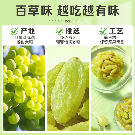 【百草味】无核绿葡萄干 100g 商品图3