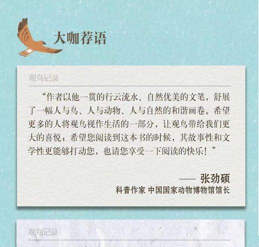 追鸟记 商品图4