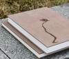 绝版：《八大山人精品集：花鸟卷、山水卷》，全2册，正8开，布面精装，八大山人绘，陈传席主编，江西美术出版社2011年一版一印，近400页，定价880，售价388元。品相9成。 商品缩略图2