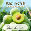 【百草味】陈皮梅片 66g 商品缩略图1