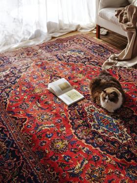 伽罗 JALO 伊朗进口手工编织CARPET风格客厅羊毛地毯