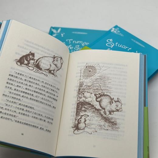 夏洛的网 商品图3