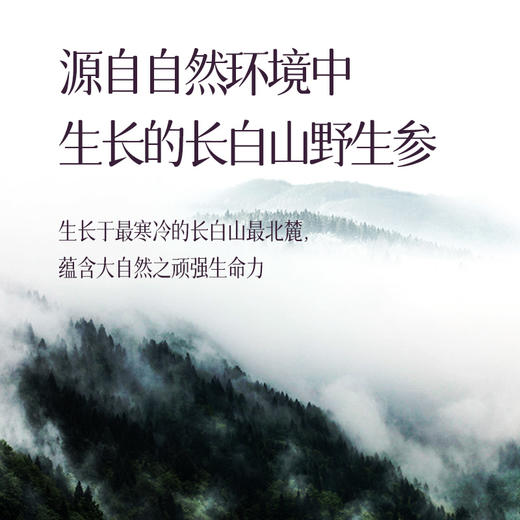 京润珍珠人参蜜养礼盒 9道工序萃取96%人参精华 专利技术重塑肌肤润泽 自用送礼 洗面奶/爽肤水/精华液/面霜 京润礼盒4件套 商品图5