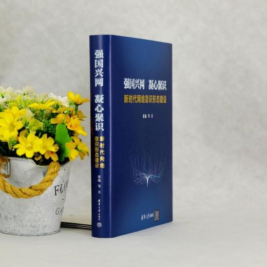 强国兴网 凝心聚识:新时代网络意识形态建设 商品图3
