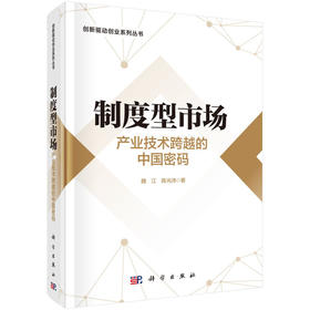 制度型市场:产业技术跨越的中国密码
