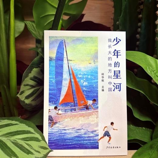 我长大的地方叫中国.少年的星河 商品图4